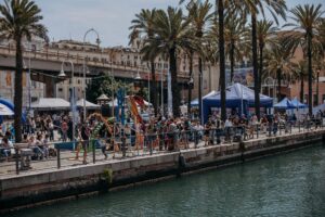 IMG_2520