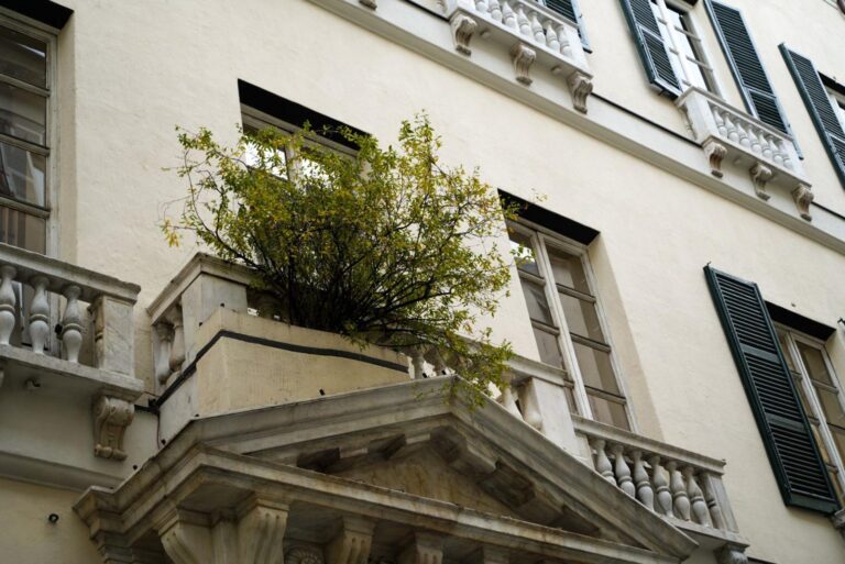 Genova, arrivano i Rolli Days, ecco i siti visitabili