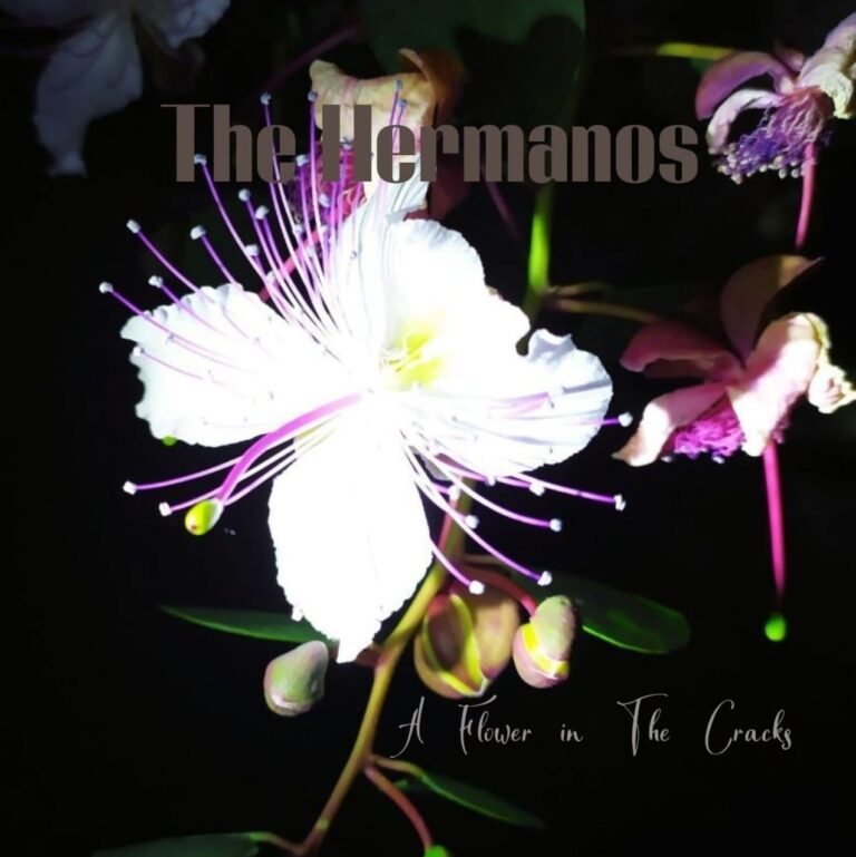 The Hermanos – è uscito “A flower in the cracks”